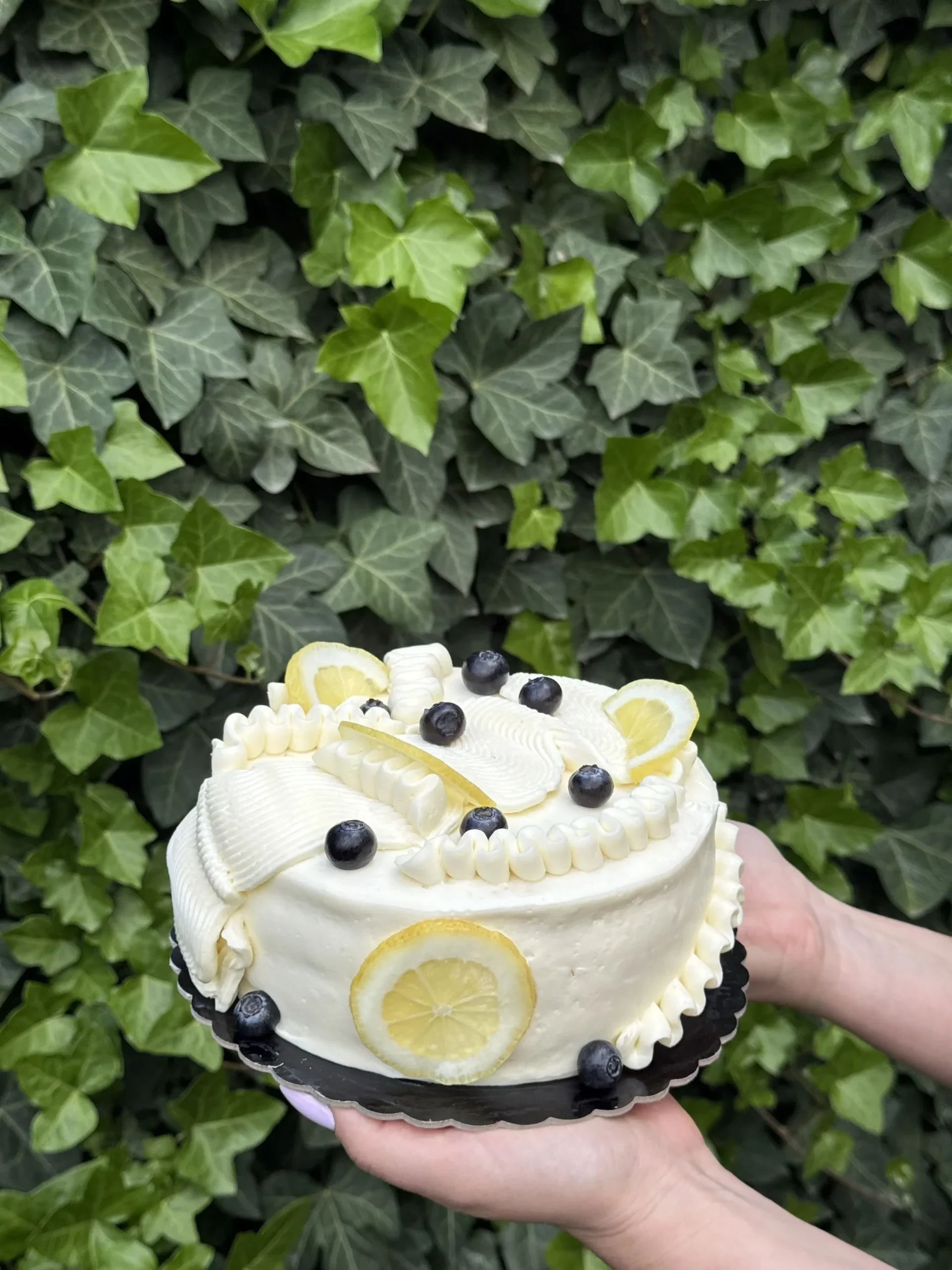 Tort Luna Ingrediente: Blat pandispan, cremă de lămâie, afine/zmeură, vanilie